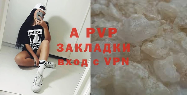 гидра Новодвинск