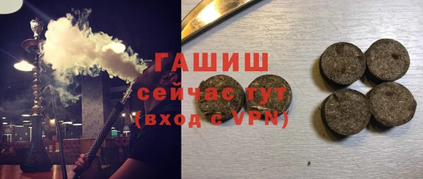 гидра Новодвинск