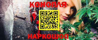 ALPHA PVP Камышлов