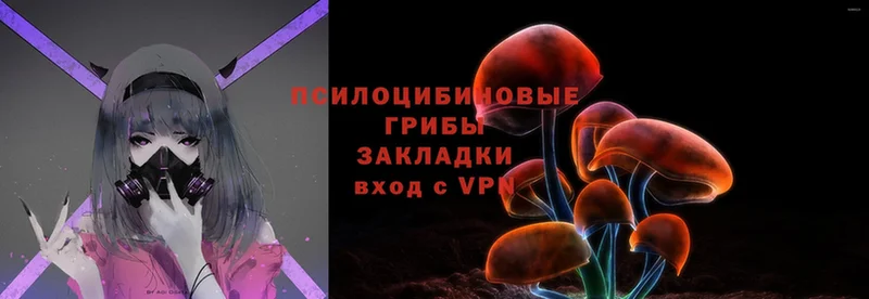 Галлюциногенные грибы Magic Shrooms  Курчатов 