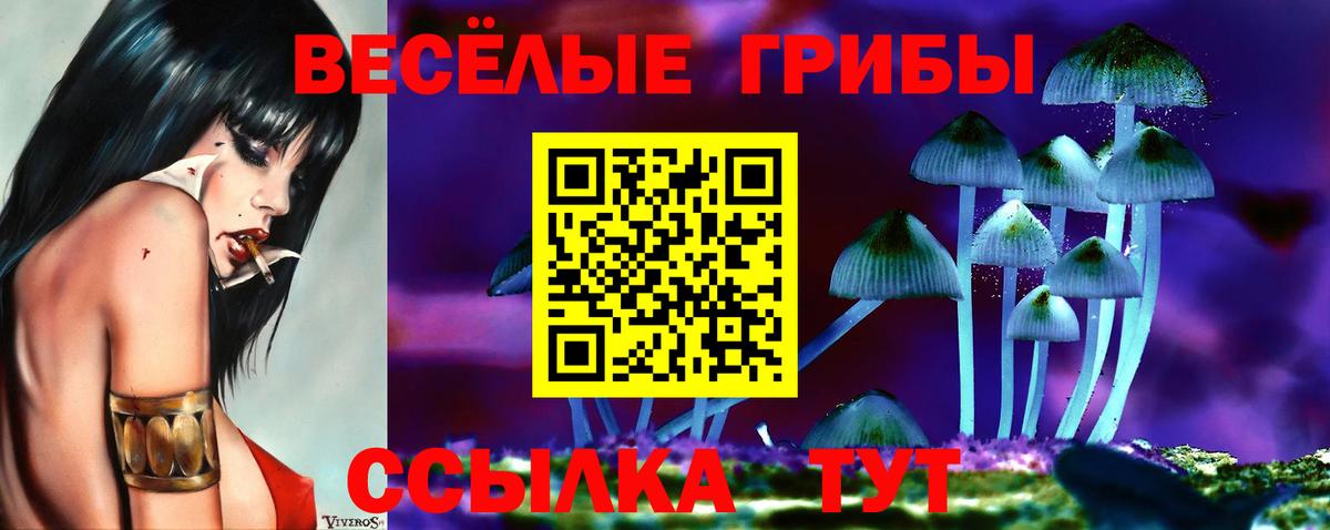 продажа наркотиков  Вход с VPN  Курчатов  Галлюциногенные грибы ЛСД 