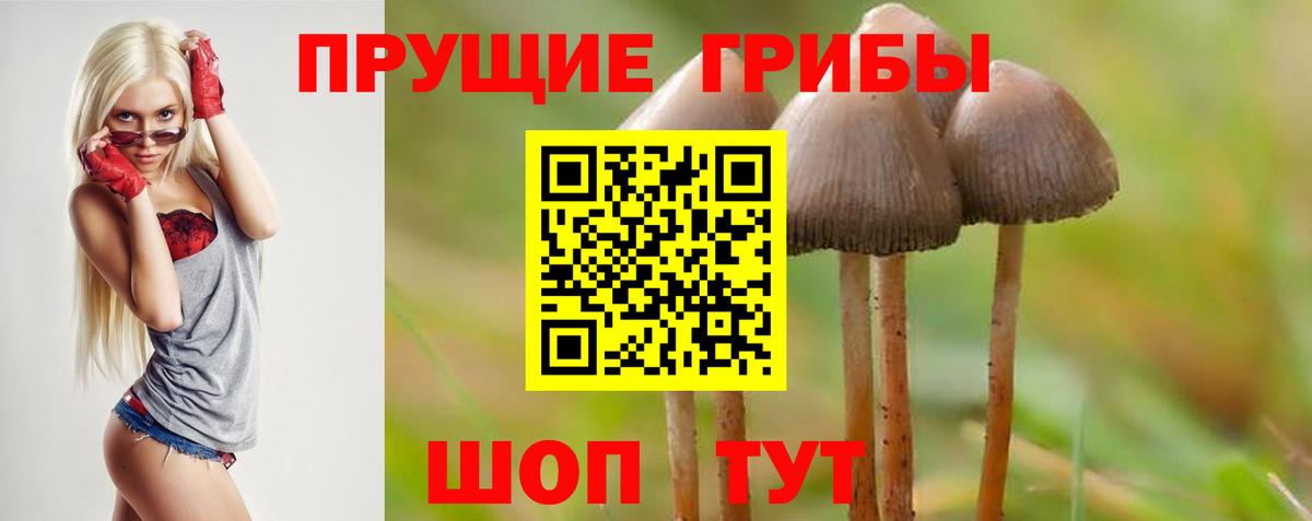 Галлюциногенные грибы MAGIC MUSHROOMS Курчатов