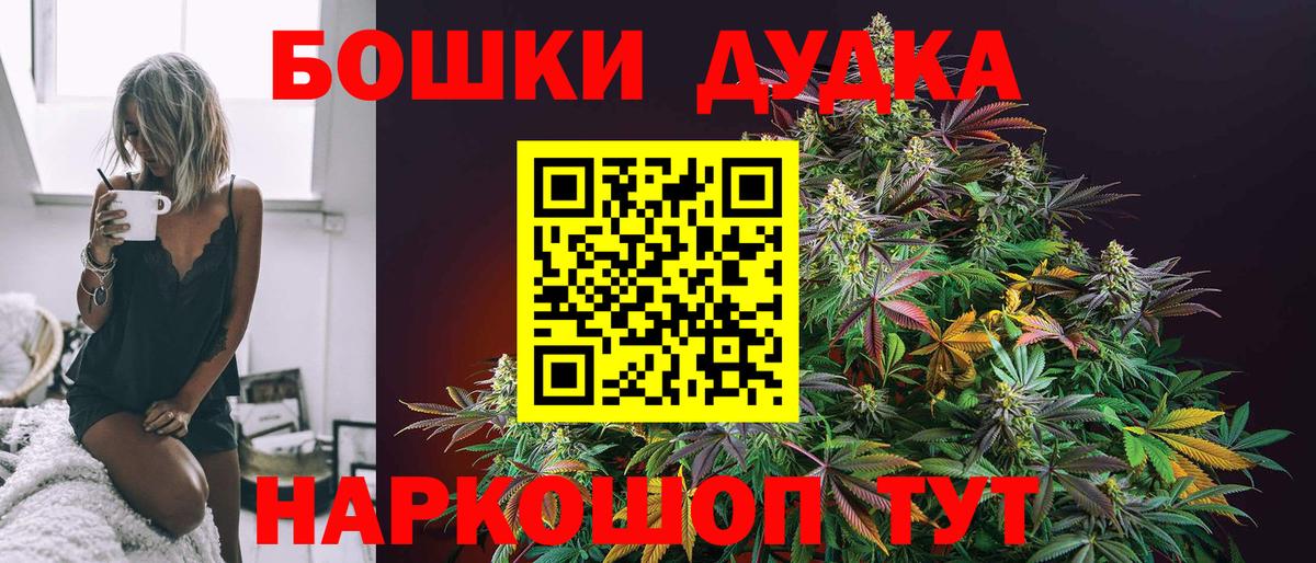 Курчатов  Марихуана планчик  Каннабис OG Kush  Вход с VPN  Каннабис планчик 
